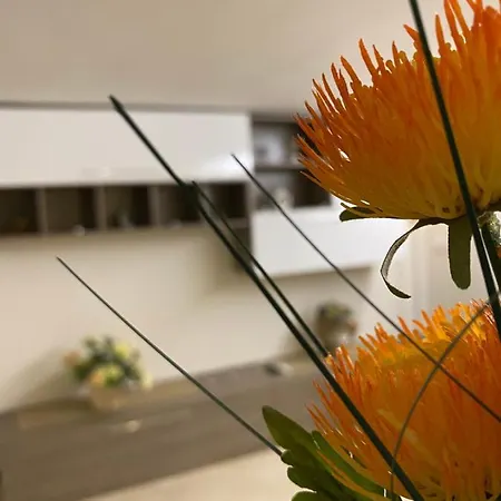 La Magione 公寓 巴勒莫