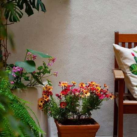 Bed and breakfast Carella Palermo