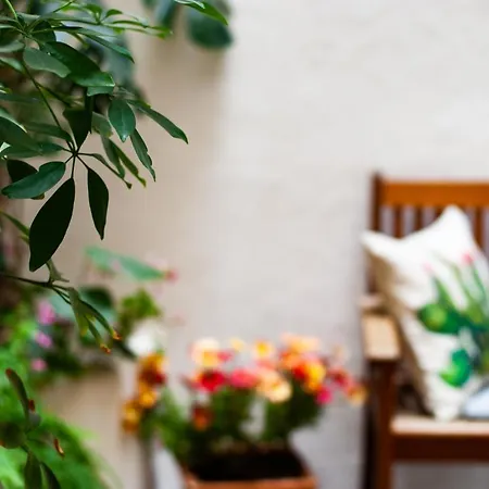 Carella Bed and breakfast