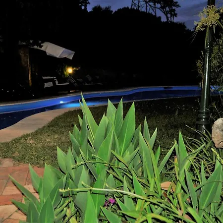 Sis Holiday Villa Palerme