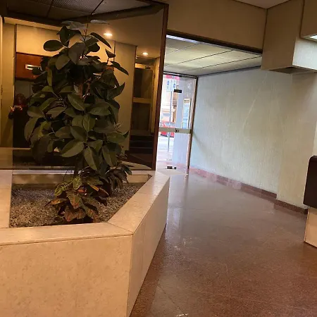 Delle Palme Elegante Monolocale In Centro Appartamento *