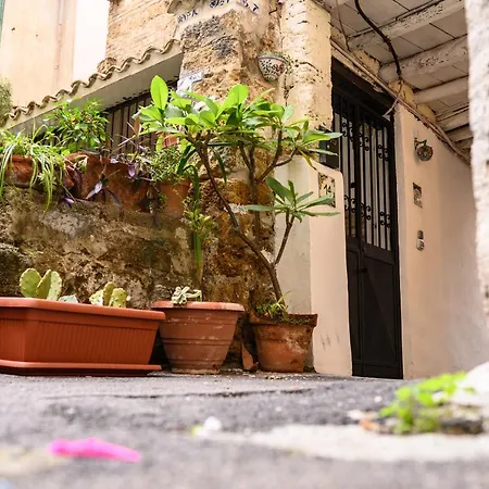 Daria's * Palermo