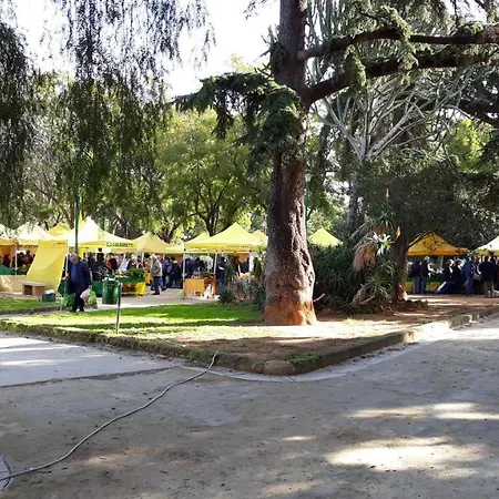 Se Vi Pare * Παλέρμο