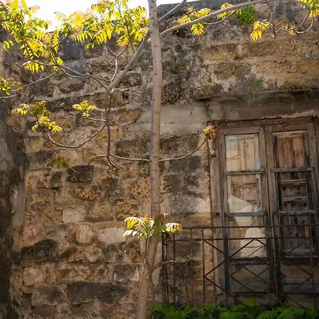 Accogliente Vicino Cattedrale Appartement *