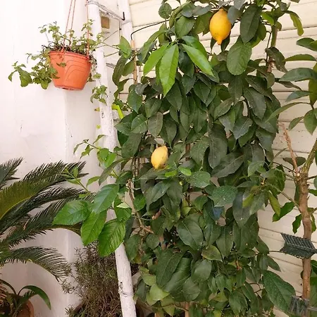 Daria's Holiday home Palermo