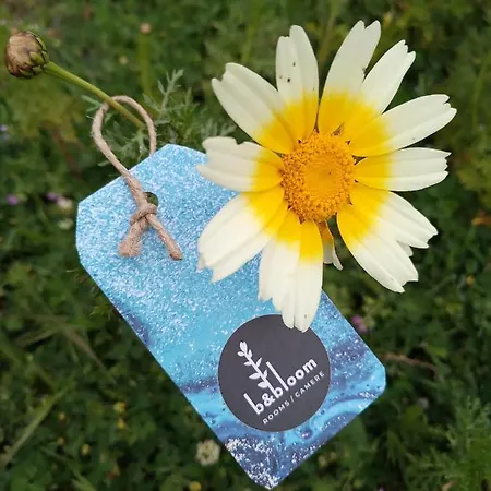 Bed & Breakfast Bandbloom *