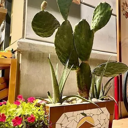 La Casa Di Eva *