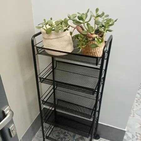Appartement Casa Allegra *