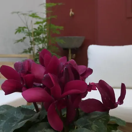 Apartamento Opera - Aida