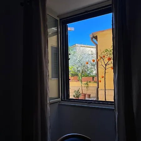 D'orleans 3* Palerme