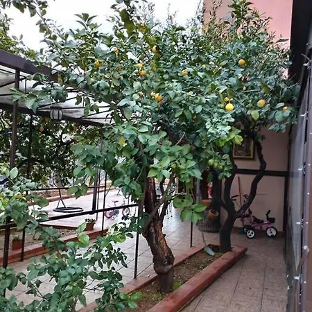 La Casetta Dei Limoni Apartment