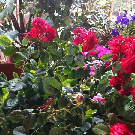 B&B Notarbartolo 3* Palermo