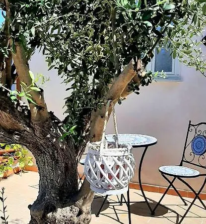 La Casetta Degli Ulivi *