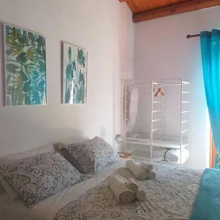 Enzo's *
