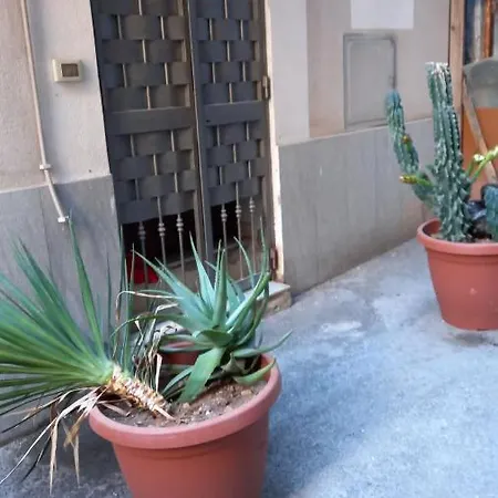 Apartment Viola Palermo