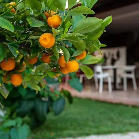 Bed & Breakfast Megna - Paradise Palermo