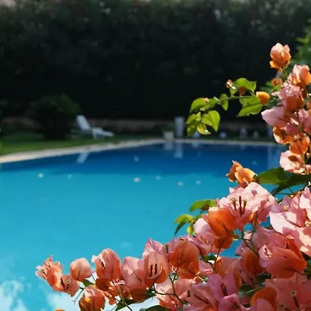 Megna - Paradise Bed & Breakfast