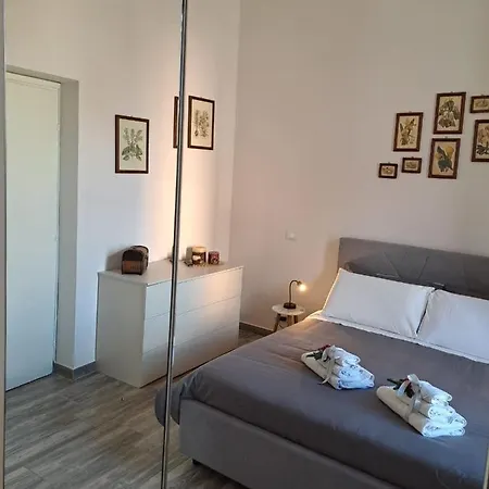 Ammirata Palerme