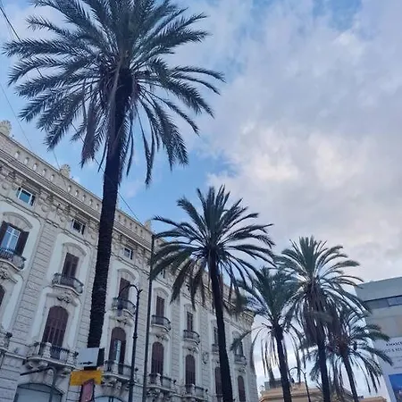公寓 Terrazza San Domenico 巴勒莫