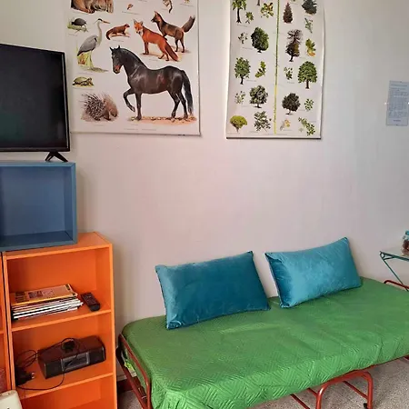La Casa Sull'albero Appartamento *