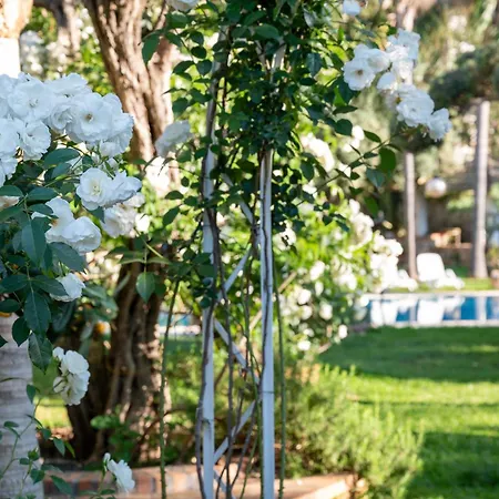 Megna - Paradise Bed & Breakfast *