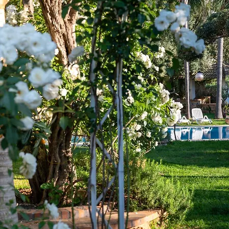 Bed & Breakfast Megna - Paradise *