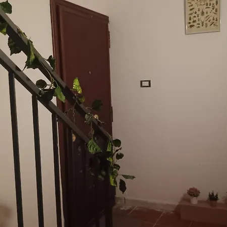 Apartament Casa Selinunte Palermo