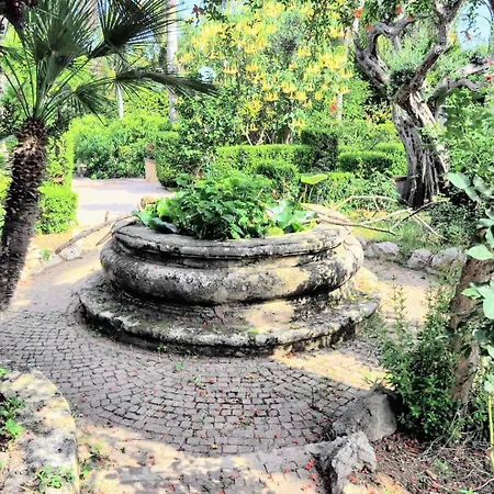 Megna - Paradise Palerme