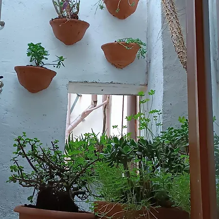 Apartment A Casa Di Agata Palermo