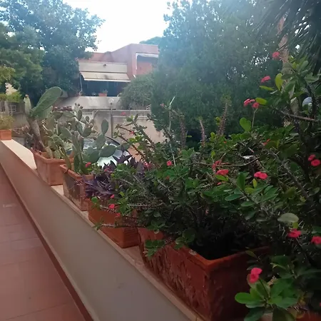 Venere E Homestay