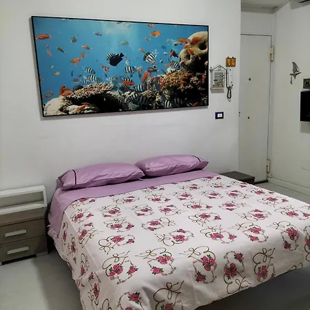 Apartment Ciuridda Mia *