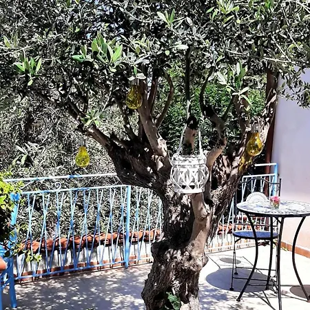 Holiday home La Casetta Degli Ulivi Palermo