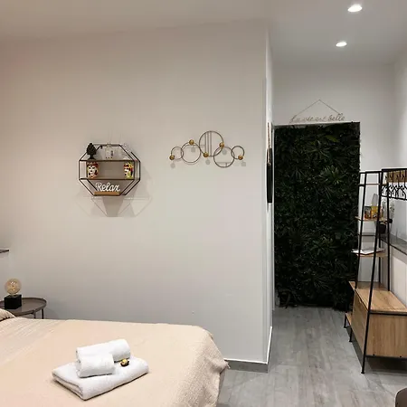 Amori 85 * Palermo