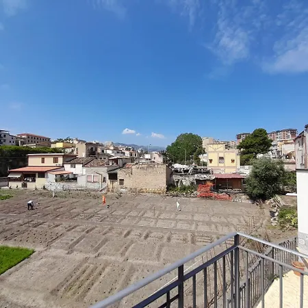 Enzo's Palermo
