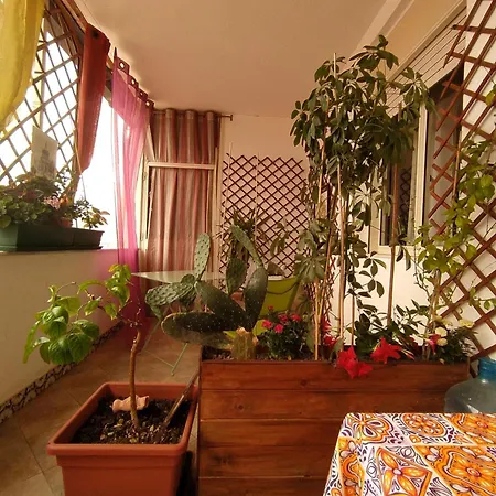 Ballarattik -best Panorama Centro Palermo