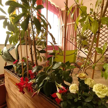 Ballarattik -best Panorama Centro Bed & Breakfast