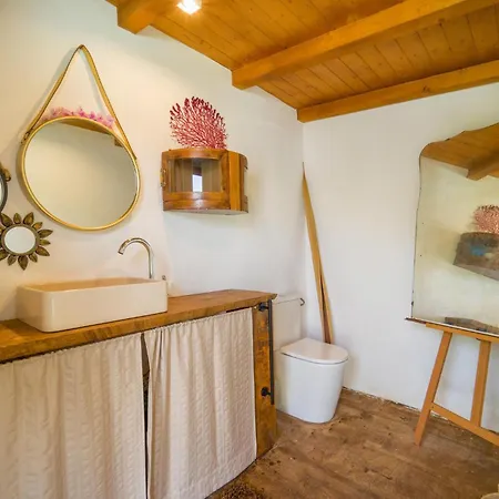 Pet Friendly In With Kitchen Holiday home