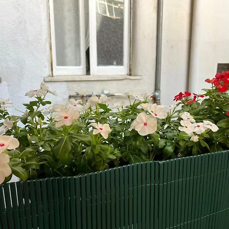 Panzió Casa Dei Nonni Di Yuri Palermo