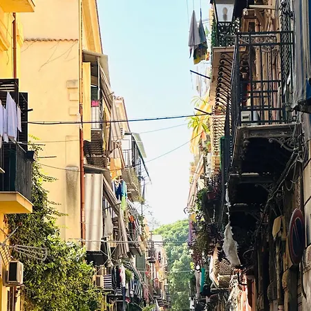 Guest house Maya Palace Real Centre Close To Cathedral Palermo