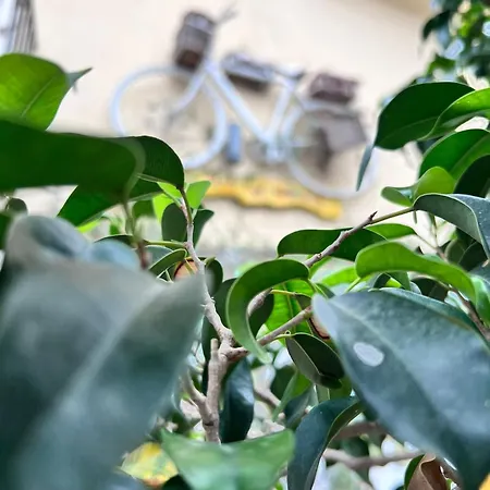 Bahalara Bed & Breakfast