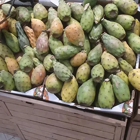 Profumo Di Sicilia *