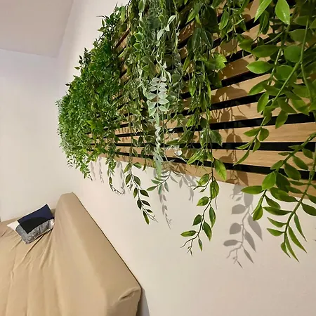 Appartamento Vicolo 20