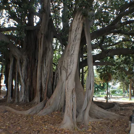 Foresteria Dell' Alloro