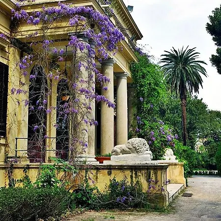 My House * Palerme