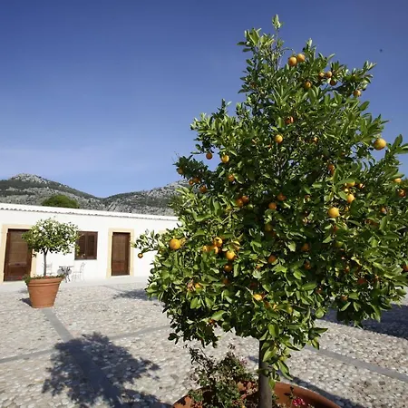 Lampedusa Παλέρμο