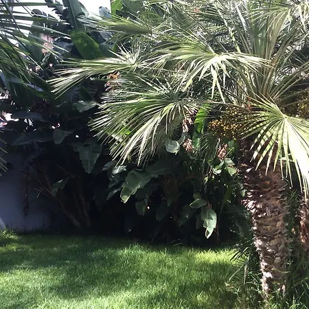 Ucciardhome Palermo