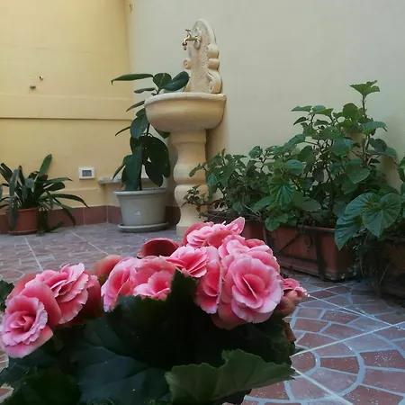 Guest house Le Rose Del Viale Palermo
