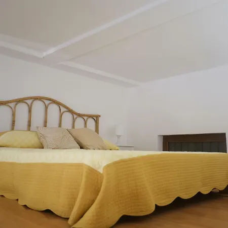 Massimo Comfort
