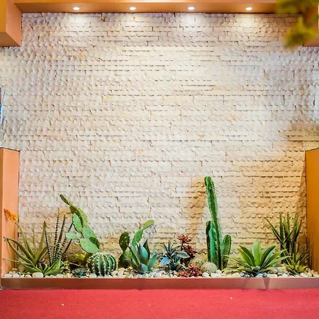 Athenaeum 3* Palermo