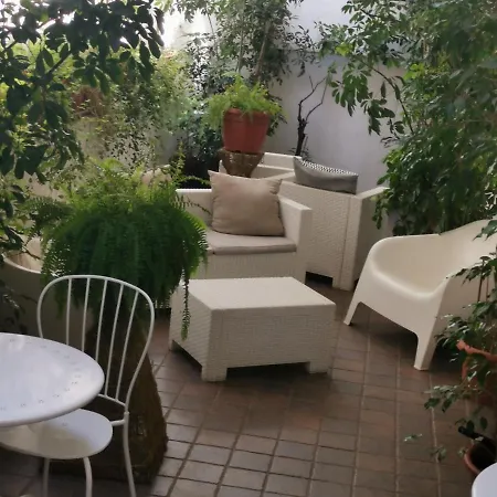 Bed and breakfast Museo Salinas